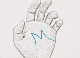 Is Palmistry a predictor of wealth? Discover the truth with these 3 palm lines.