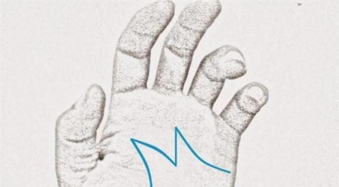 Is Palmistry a predictor of wealth? Discover the truth with these 3 palm lines.