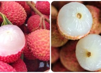 Tips for choosing sweet, juicy, thick-skinned, and worm-free litchis