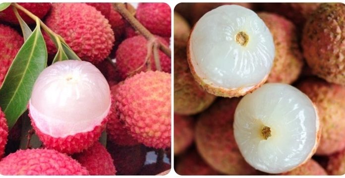 Tips for choosing sweet, juicy, thick-skinned, and worm-free litchis