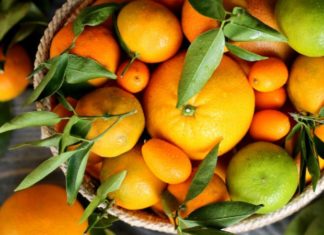 Why choose to buy whole mandarins with stem and leaves for altar decoration?