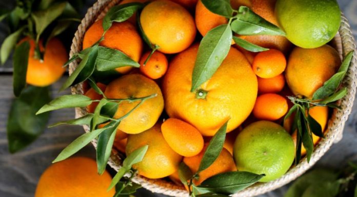 Why choose to buy whole mandarins with stem and leaves for altar decoration?