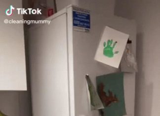 Expert reveals the culprit behind the unpleasant odor of refrigerators: It lies in a precarious position