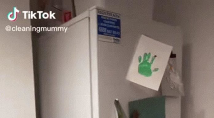 Expert reveals the culprit behind the unpleasant odor of refrigerators: It lies in a precarious position