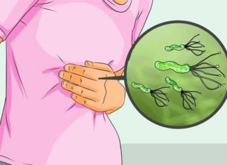 5 Leading Cancer-Causing Viruses and Bacteria Today