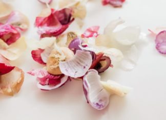 Don’t throw away onion and garlic peels, use them this way to save money and enhance their benefits.