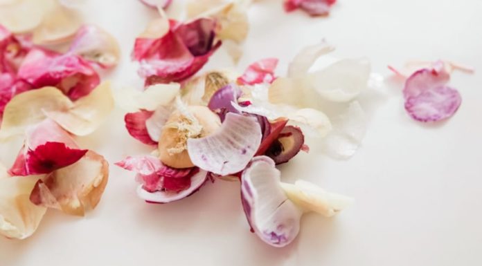 Don’t throw away onion and garlic peels, use them this way to save money and enhance their benefits.
