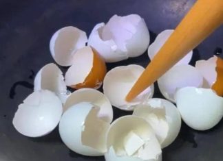 Solving Multiple Household Issues with Eggshells: A Convenient and Cost-effective Solution