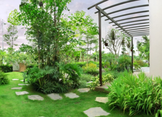 4 Magical Feng Shui Spots in Your Home that Hold the Key to Family Fortune