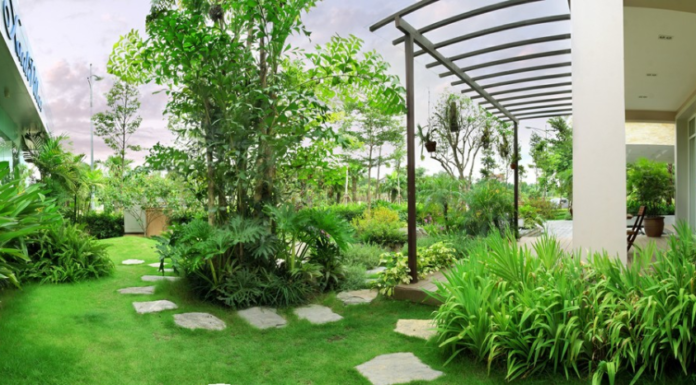 4 Magical Feng Shui Spots in Your Home that Hold the Key to Family Fortune