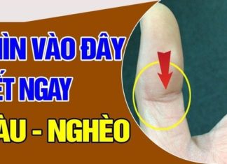 The secret to knowing if you’ll be rich or poor is in the spread of your fingers, have you tried it yet?