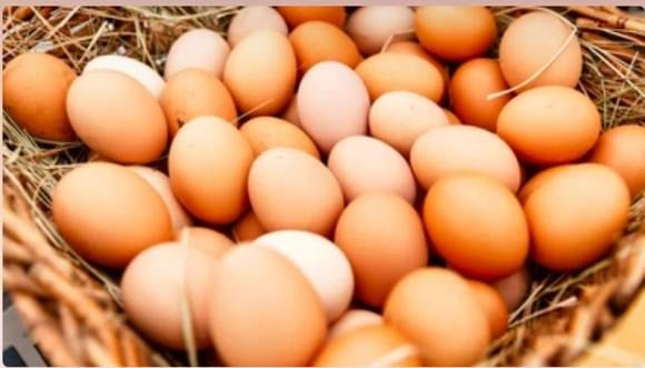Which type of eggs are more nutritious: brown or white? Many people don’t know and choose wrong.