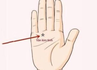 The Secrets to Success: 3 Palm Lines Predict a Future of Wealth Beyond Your Wildest Dreams