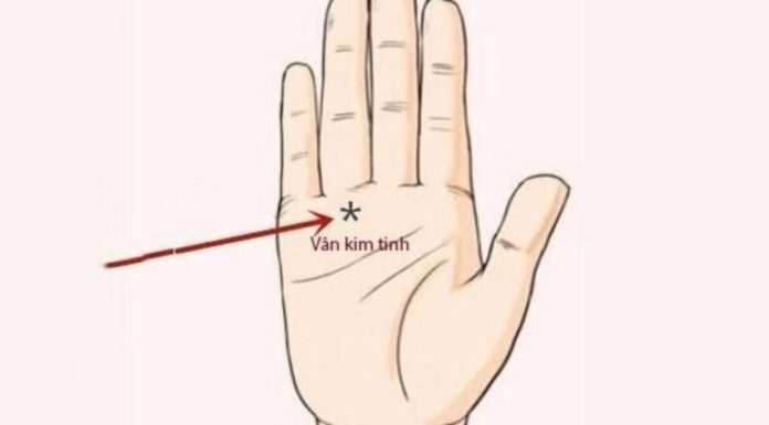 The Secrets to Success: 3 Palm Lines Predict a Future of Wealth Beyond Your Wildest Dreams