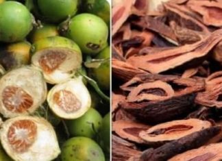 4 Types of Fruits That “Awaken” Cancer Cells, Even Though They Are Delicious, You Shouldn’t Eat