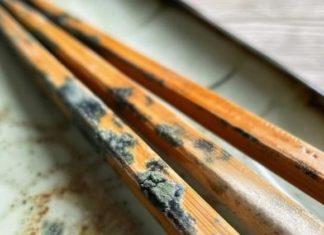 Is it safe to cook with moldy chopsticks when the weather is humid?