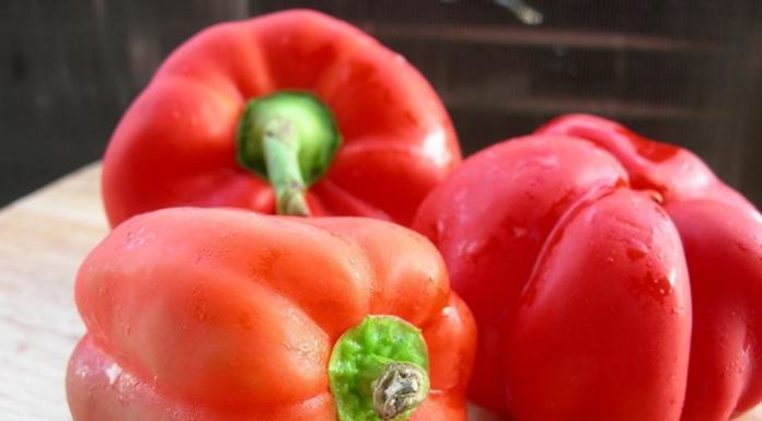 Eat These 10 Magnificent Foods Every Day