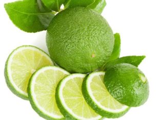 16 Easy and Secure Ways to Prevent Ants from Entering Your Home