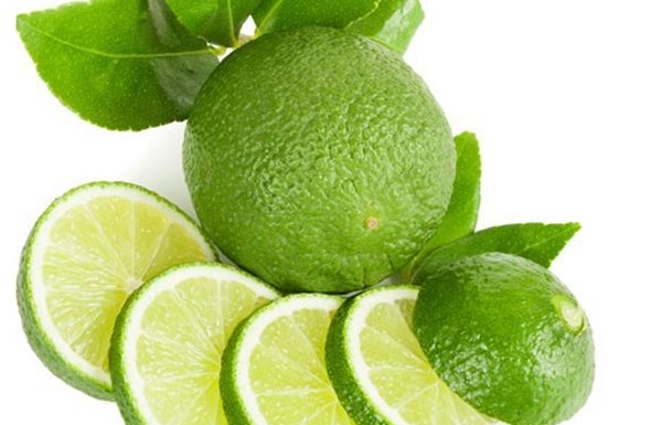 16 Easy and Secure Ways to Prevent Ants from Entering Your Home