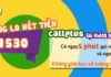 What is 1530? Everything you need to know about Viettel’s Call Plus support hotline