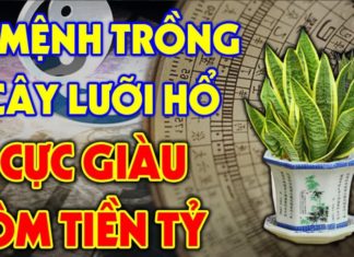 {“message”:”Please wait and try again later”}