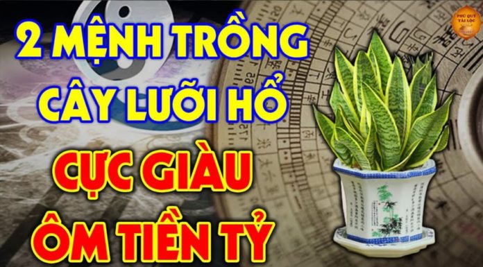 {“message”:”Please wait and try again later”}