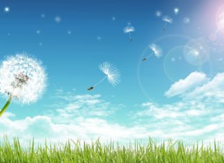 Uncovering the Significance and Traditions of March 20