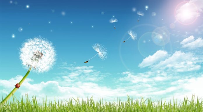 Uncovering the Significance and Traditions of March 20