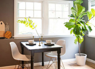 The Ultimate Guide to Feng Shui: 7 Secrets to Harmonize Your Home