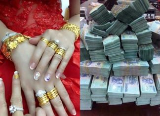 Red as Son: 3 years old and still profitable, no need for chasing money, even at birth money falls into you