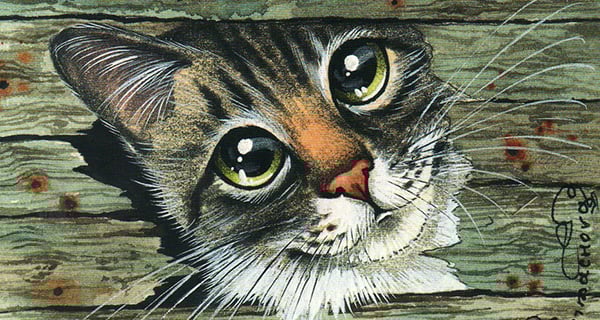 The Golden Register of Fortune: A Fish That Becomes a Dragon, Transforming Life to a New Level, Counting Money Until Exhaustion