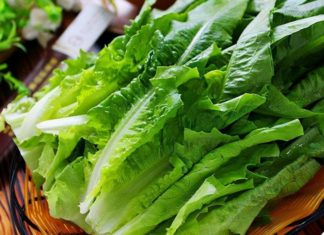 Unlocking the Secret of “Phoenix Tail Vegetable” – 10 Times More Calcium Than Bone Broth, Delicious and Perfect for Summer Meals