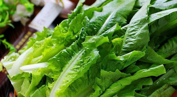 Unlocking the Secret of “Phoenix Tail Vegetable” – 10 Times More Calcium Than Bone Broth, Delicious and Perfect for Summer Meals