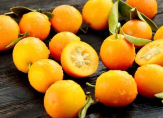 Nourish Bright, Smooth Skin with Three Exfoliation Tips Using Persimmon Fruit