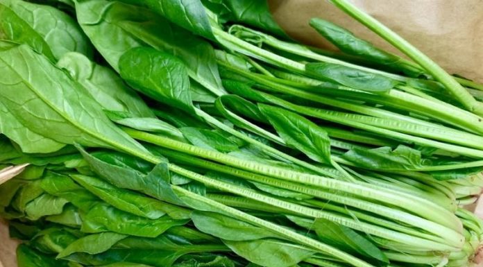 3 Rice Bran-Based Facial Masks for Intense Skin Hydration and Smoothening