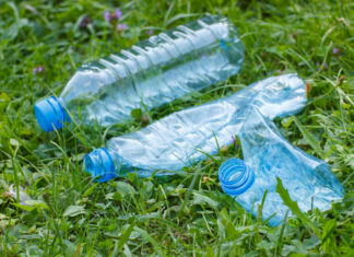 3 Easy Strategies for Caring for the Environment