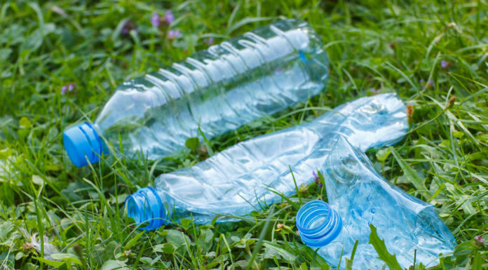 3 Easy Strategies for Caring for the Environment