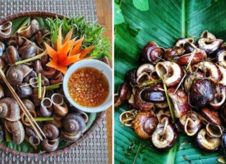 Must-Have Items for the Seasons: Three Items Described as “Divinely Fortunate” that are Highly Desired