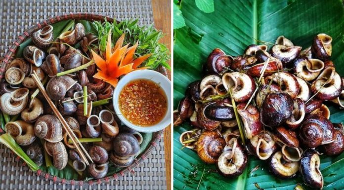 Must-Have Items for the Seasons: Three Items Described as “Divinely Fortunate” that are Highly Desired