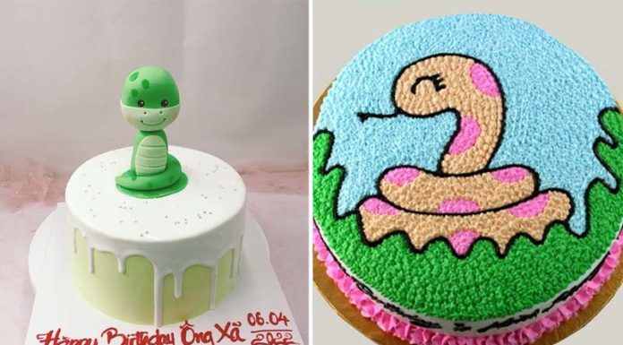 Unique Snake-Inspired Birthday Cakes for Gen Z