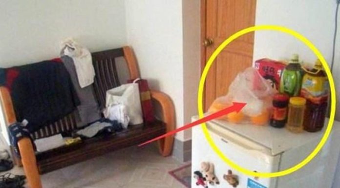 Endless losses in business, wealth without wings, check if these three things are on top of the fridge