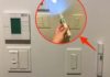 Why do hotel rooms in Japan typically have a flashlight? The surprising importance revealed.