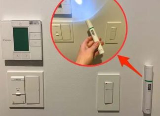 Why do hotel rooms in Japan typically have a flashlight? The surprising importance revealed.