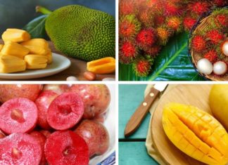 Alert: 4 Food Items to Stay Away From When Consuming Duck Meat