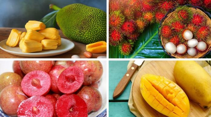 Alert: 4 Food Items to Stay Away From When Consuming Duck Meat