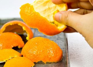 4 Tips You May Not Know to Effectively Repel Mosquitoes in Rainy Days