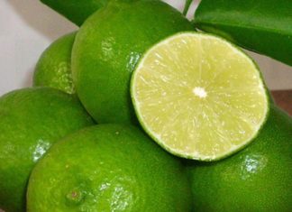 “4 Strategies for Eliminating Oil Stains from Plastic Tableware”