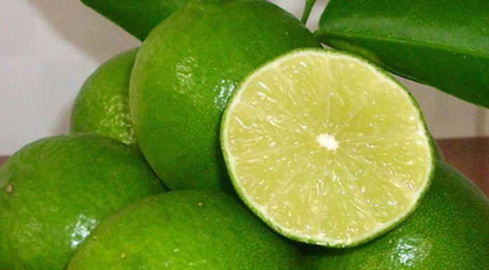 “4 Strategies for Eliminating Oil Stains from Plastic Tableware”