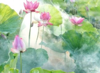 Greetings for Everyone in the Lunar Month of July