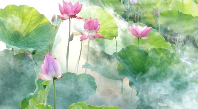 Greetings for Everyone in the Lunar Month of July